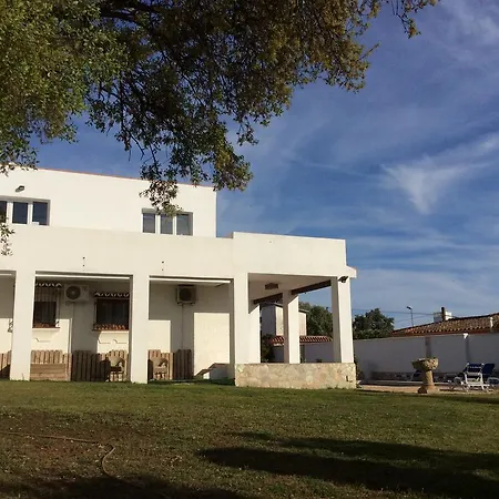 Y Kai (adults Only) *