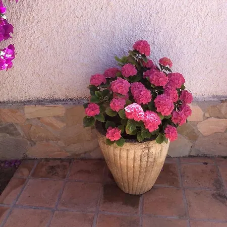 Y Kai (adults Only) * Marbella