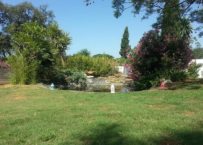 Apartment Y Kai (adults Only) Marbella